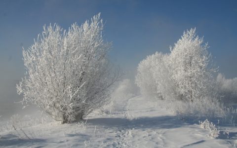Оголошення від пісенно – туристського Клубу